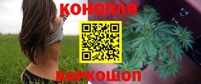 стаф Берёзовский