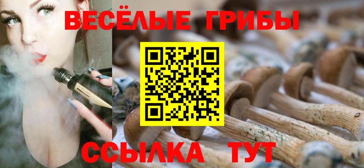 Псилоцибиновые грибы Cubensis  Вход с VPN  где можно купить наркотик  Зеленодольск 